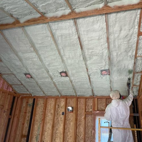 WhatsApp Image 2023-08-04 at 2.05.43 PM (1)